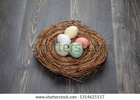 Nest with Easter pastel color eggs