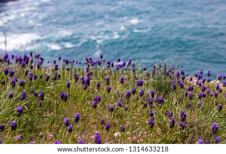 Flowers on sea background