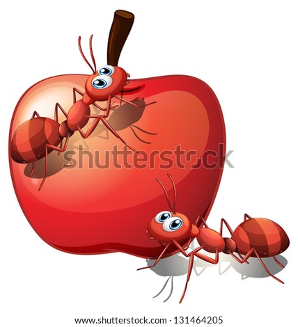 Illustration of the two ants and the red apple on a white background