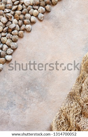 Fresh raw Surf clam chamelea gallina and  fishnet  . Top view, close up on sand concrete background
