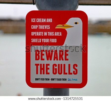 Sign warning visitors not to feed the seagulls.