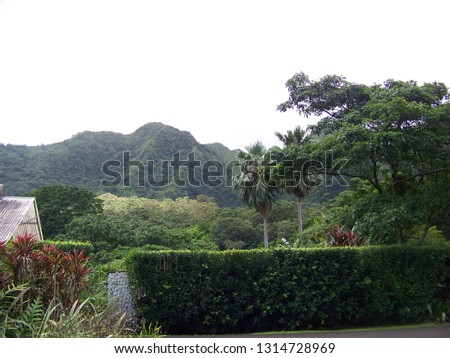 Hawaiian Island Landscape