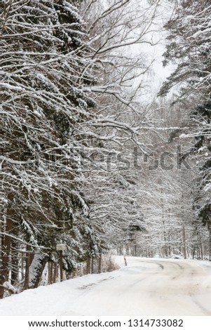 Countryside Road Covered in Snow in Forest.