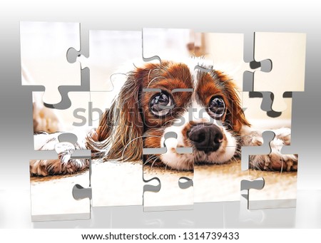 Dog Cartoon Puzzle