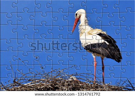 Stork on the nest Puzzle