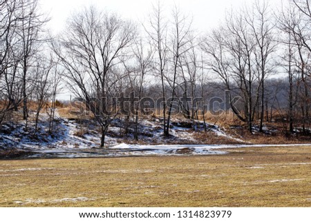 Open field with winter trees and snow on the ground