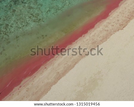 annual red tide in the tropics Royalty-Free Stock Photo #1315019456