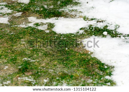 Photo of snow on the green grass.