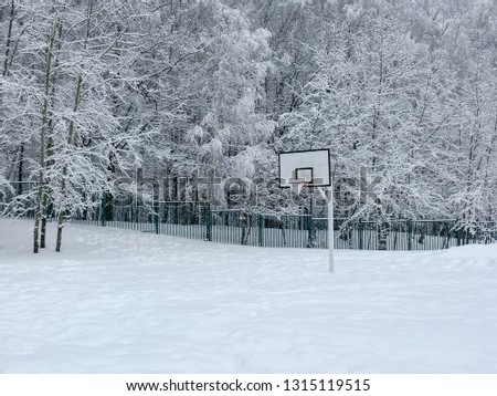Basketball backboard near a forest park covered with snow after a heavy snowfall