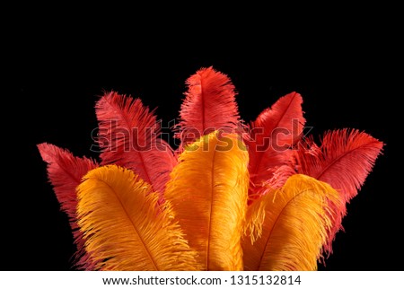 Background with detail of carnival fancy feathers in yellow and red