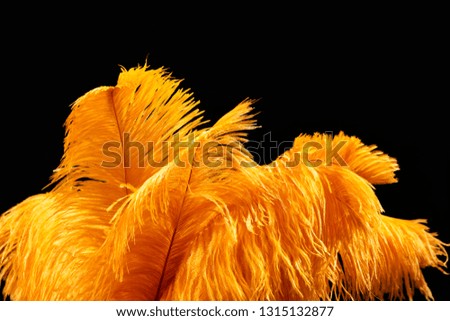 Background of carnival fancy feathers in yellow