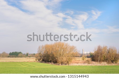 Beverley, Yorkshire, UK. The ancient minster (church) as viewed from across agricultural landscape with trees on bright winter morning in Beverley, Yorkshire, UK.
