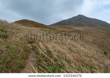 a hiking path leading up to the heights, covered with yellow Miscanthus,and the horizon is very wide in the cloudy day