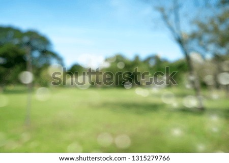defocused bokeh background of garden trees in sunny day