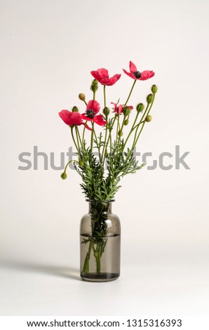 Poppy red bouquet