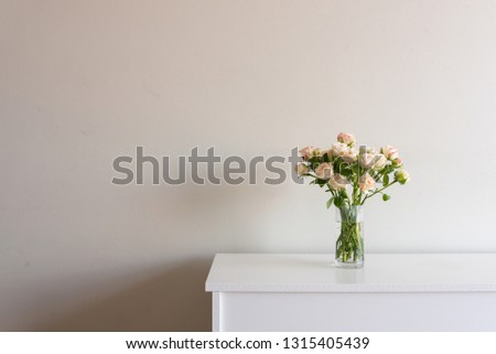 Close up of pale pink roses in glass vase on white sideboard against neutral wall background with copy space to left