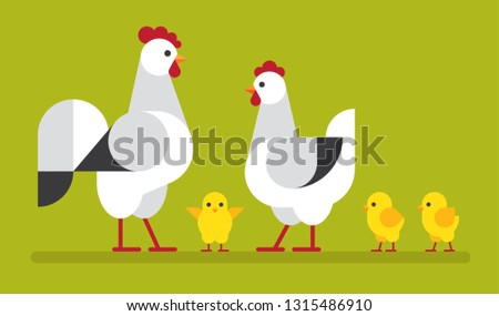 Happy, cute chicken family flat illustration on green background. Hen, cock and chick vector icon set.