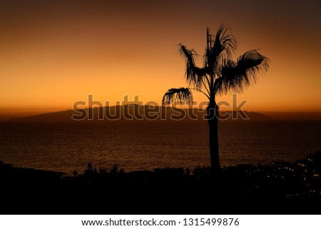 Sunset with palm on the coast, Canary Island, Tenerife. Evening picture with big palm tree, beautiful red sky, sea, ocean and island on the background.