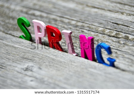 colorful spring inscription on old wooden board
