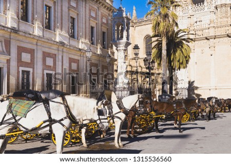 Close-up of a horse with a cart on the background of the Cathedral of Seville in Andalusia, Spain.