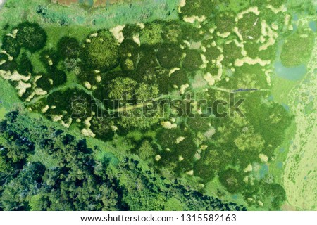 Aerial view drone shot Top down of Green forest and lake beautiful wilderness nature scenery for background.