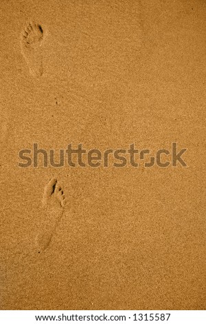 Footprints in the Sand on a Beach