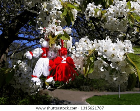 Branch of blossoming cherry tree with a handmade women and men, known as Martisor. It is a Romanian traditional symbol of the beginning of spring.
