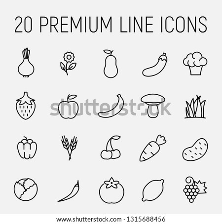 Premium set of fruit and vegetable line icons. Simple pictograms pack. Stroke vector illustration on a white background. Modern outline style icons collection