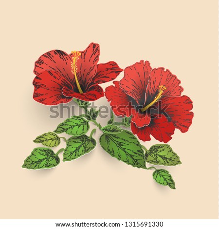 Sketch and Hand drawing Hibiscus flower. line art vector illustration with color