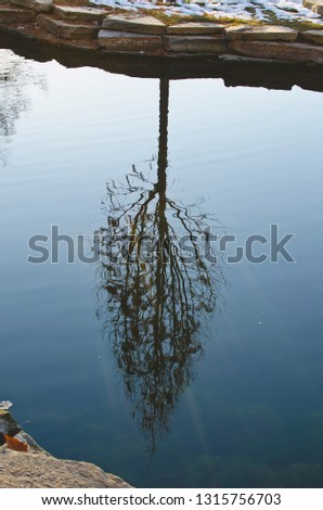 A reflection of a solo tree in the park pond under the dusk light in the winter weather. 