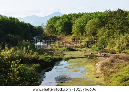 River with rubber plantation and green forests on the shore, Creek in tropical nature with mountain and blue sky in background, Thailand
