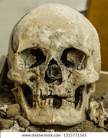 2000 Year Old Ancient Roman Skull Royalty-Free Stock Photo #1315771565