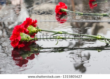 Red chrysanthemums on black granite in the rain. Celebration of anniversary of Victory in the Great Patriotic War. People lay flowers in memory of dead soldiers.