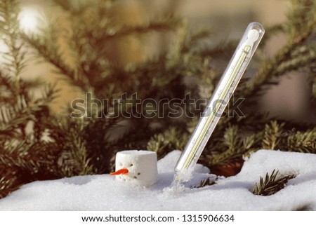 thermometer in a thawed snowdrift next to the snowman head on the background of the trees on a sunny day / spring warming