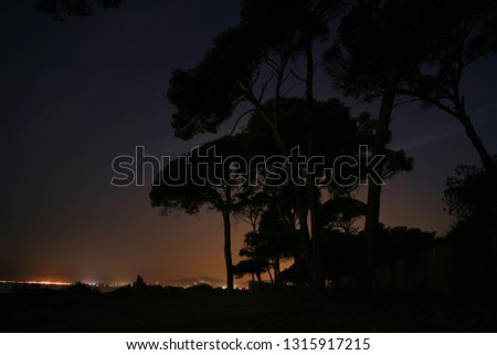 Night lights with the ocean in the background and some trees in the foreground 