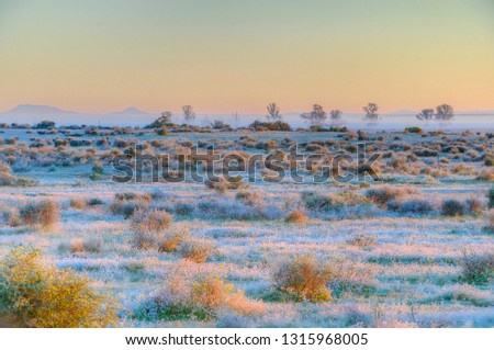 NAMAQUALAND, SOUTH AFRICA.  Dusk light in Namaqualand, Western Cape, South Africa. 