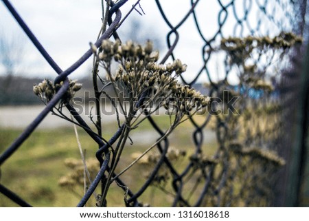 Fence from a net