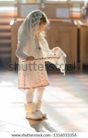 
girl in the temple with a sprig of willow