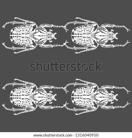 Hand drawn illustration pattern of beetle on a gray background. Stylized decorative beetle pattern is suitable for printing on fabric and clothing. vector illustration.