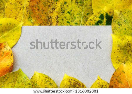 Background for text decorated with autumn yellow leaves, top view, training
