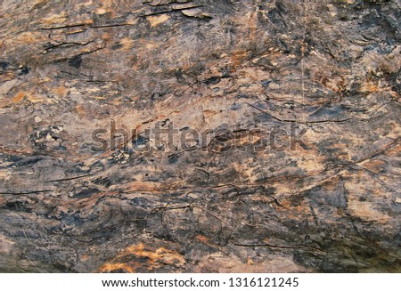 Wood grain texture or background