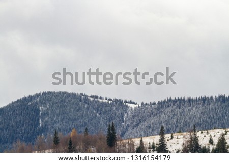 Carpathian mountains in the snow