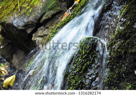 Very beautiful artificial waterfalls with living water and growing moss. Water flows from above, splashes