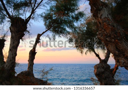 rocky and sandy coast of Sisi on Crete in Greece with trees growing next to it