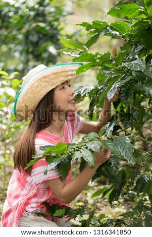 Young Asian woman working in a coffee plantation