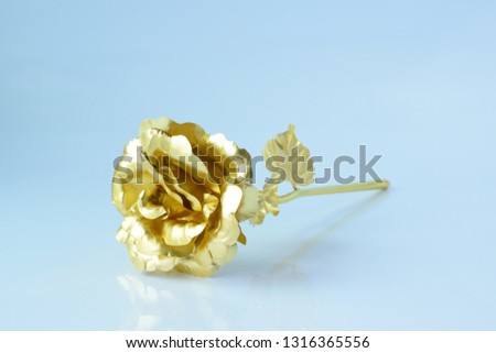 Golden rose 24 k placed on a white background
