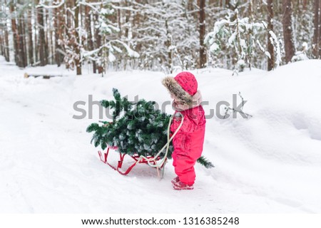 Little girl wearing warm jumpsuit stands with sled and Christmas tree on snow near forest at winter 