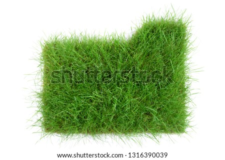 Green Grass Folder isolated on white Background
