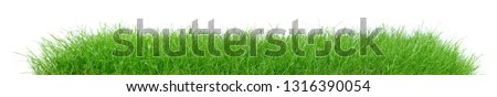 Meadow Grass Isolated on white - Panorama Royalty-Free Stock Photo #1316390054