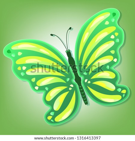 Beautiful colorful abstract butterfly with a shadow on a colored background. Vector illustration